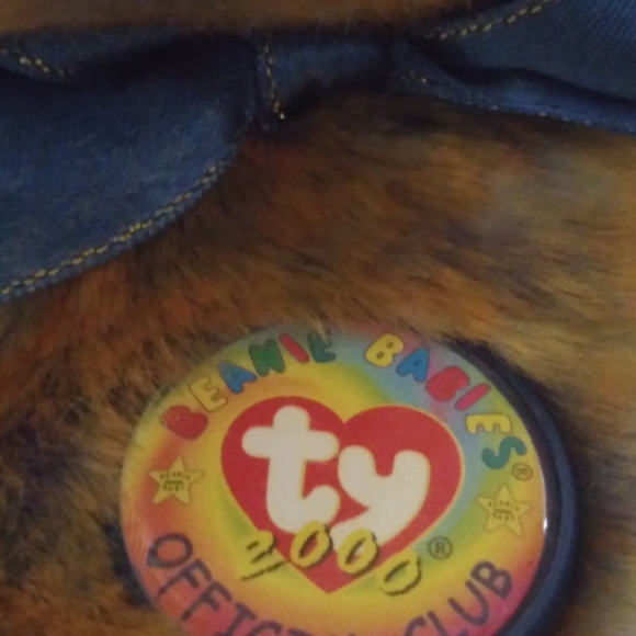 🌼 Clubby III the Bear 🐻 - Picture 5 of 5